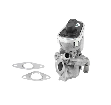 AGR-Ventil BorgWarner (Wahler) 710941R