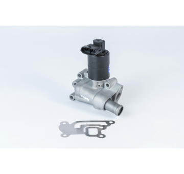 AGR-Ventil BorgWarner (Wahler) 710955R