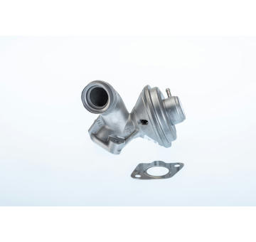 AGR-Ventil BorgWarner (Wahler) 710973R