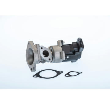 AGR-Ventil BorgWarner (Wahler) 710976R