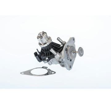 AGR-Ventil BorgWarner (Wahler) 710980R