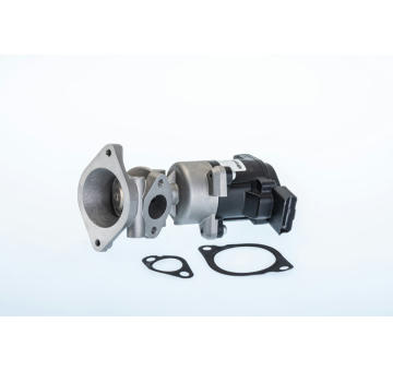 AGR - Ventil BorgWarner (Wahler) 710984R