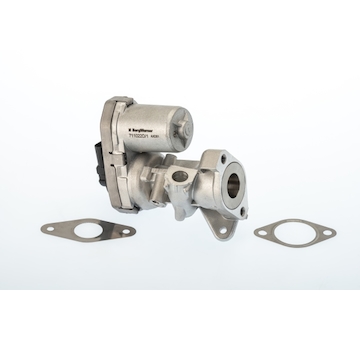 AGR-Ventil BorgWarner (Wahler) 711022D