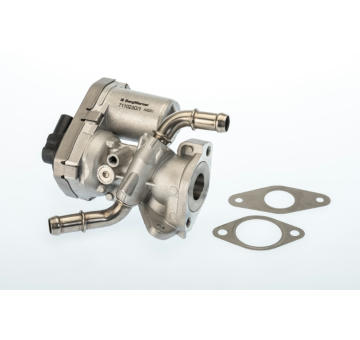 AGR-Ventil BorgWarner (Wahler) 711023D