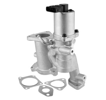 AGR-Ventil BorgWarner (Wahler) 712020D