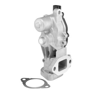 AGR-Ventil BorgWarner (Wahler) 712074D