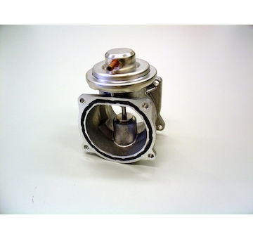 AGR-Ventil BorgWarner (Wahler) 7268D