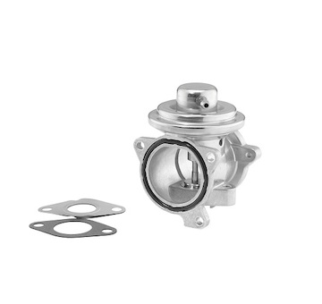 AGR-Ventil BorgWarner (Wahler) 7271D/1