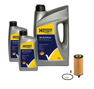 Sada dilu, inspekce HENGST FILTER KIT858