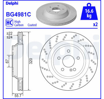 Brzdový kotouč DELPHI BG4981C