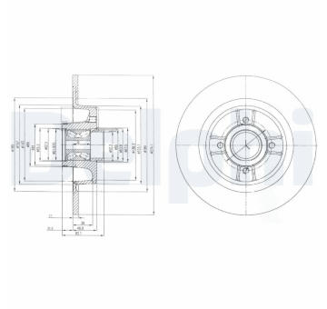 Brzdový kotouč DELPHI BG9029RS