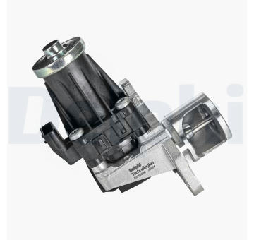 AGR-Ventil DELPHI EG10566-12B1