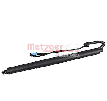 Elektromotor, zadní dveře METZGER 2115021