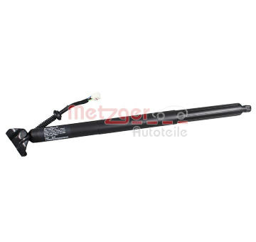 Elektromotor, zadní dveře METZGER 2115029