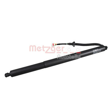 Elektromotor, zadní dveře METZGER AUTOTEILE 2115038