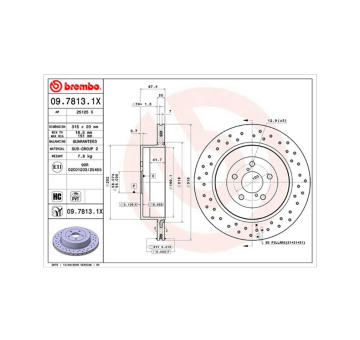 Brzdový kotouč MAGNETI MARELLI 360406067002