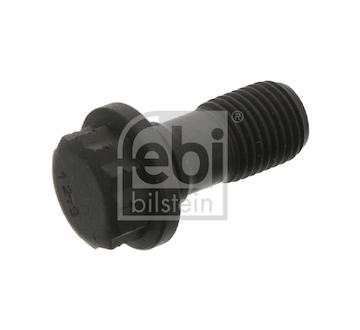 Šroub setrvačníku FEBI BILSTEIN 02313