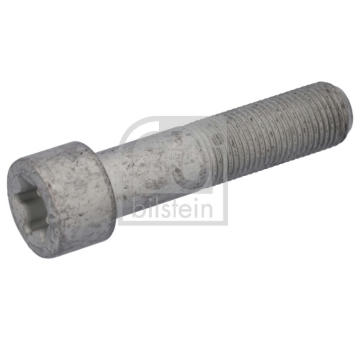 Skrutka brzdového kotúča FEBI BILSTEIN 194272