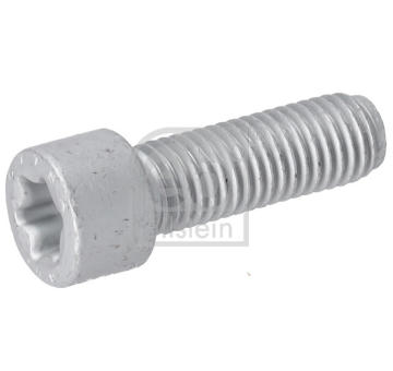 Skrutka hnacej hriadele FEBI BILSTEIN 196197