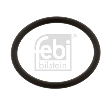 Tesneni, drzak trysky FEBI BILSTEIN 48674