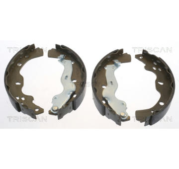 Sada brzdových čelistí TRISCAN 8100 10013