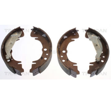 Sada brzdových čelistí TRISCAN 8100 10019