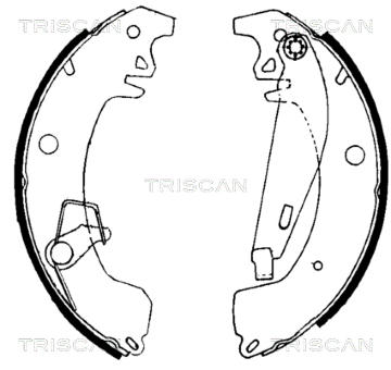 Sada brzdových čelistí TRISCAN 8100 10031