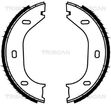 Sada brzdových čelistí, parkovací brzda TRISCAN 8100 10290
