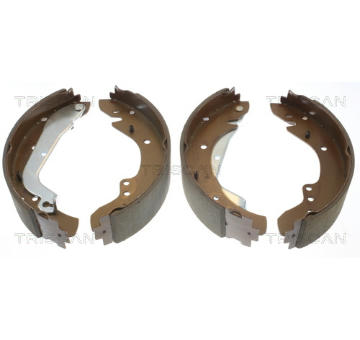 Sada brzdových čelistí TRISCAN 8100 10577