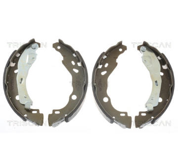 Sada brzdových čelistí TRISCAN 8100 10578