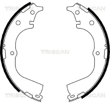 Sada brzdových čelistí TRISCAN 8100 13557
