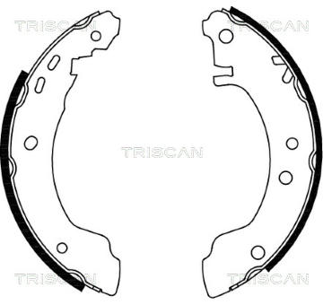 Sada brzdových čelistí TRISCAN 8100 14531
