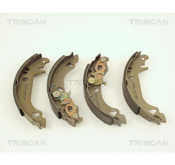Sada brzdových čelistí TRISCAN 8100 15547