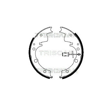 Sada brzdových čelistí TRISCAN 8100 15558