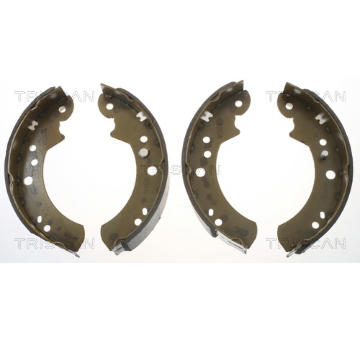 Sada brzdových čelistí TRISCAN 8100 16446