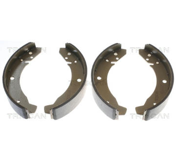 Sada brzdových čelistí TRISCAN 8100 29104
