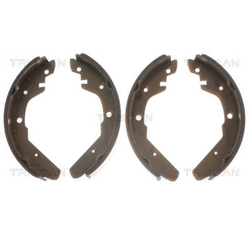 Sada brzdových čelistí TRISCAN 8100 29275