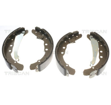 Sada brzdových čelistí TRISCAN 8100 29530