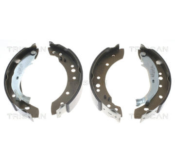 Sada brzdových čelistí TRISCAN 8100 38001
