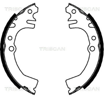 Sada brzdových čelistí TRISCAN 8100 41613