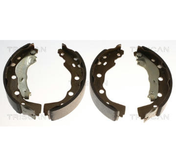 Sada brzdových čelistí TRISCAN 8100 42628