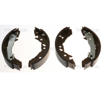 Sada brzdových čelistí TRISCAN 8100 43621