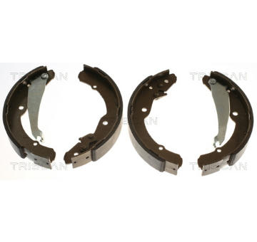 Sada brzdových čelistí TRISCAN 8100 67631