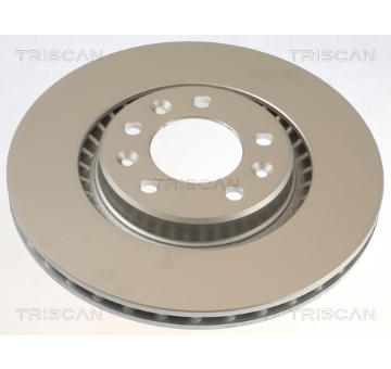Brzdový kotouč TRISCAN 8120 101090C
