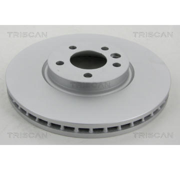 Brzdový kotouč TRISCAN 8120 291038C