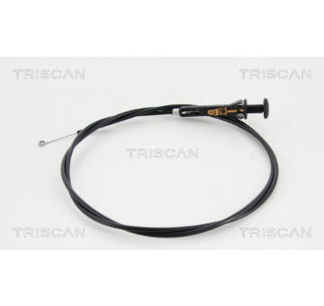Hřídel vzduchové klapky, karburátor TRISCAN 8140 25503