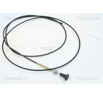 Hřídel vzduchové klapky, karburátor TRISCAN 8140 91004