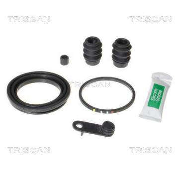 Sada na opravy, brzdový třmen TRISCAN 8170 205495