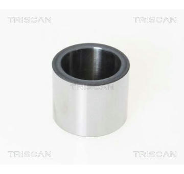 Píst, brzdový třmen TRISCAN 8170 231582