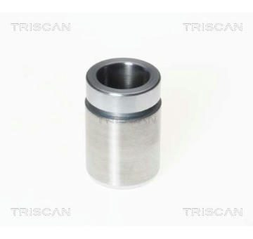 Píst, brzdový třmen TRISCAN 8170 233308